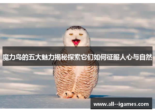 魔力鸟的五大魅力揭秘探索它们如何征服人心与自然